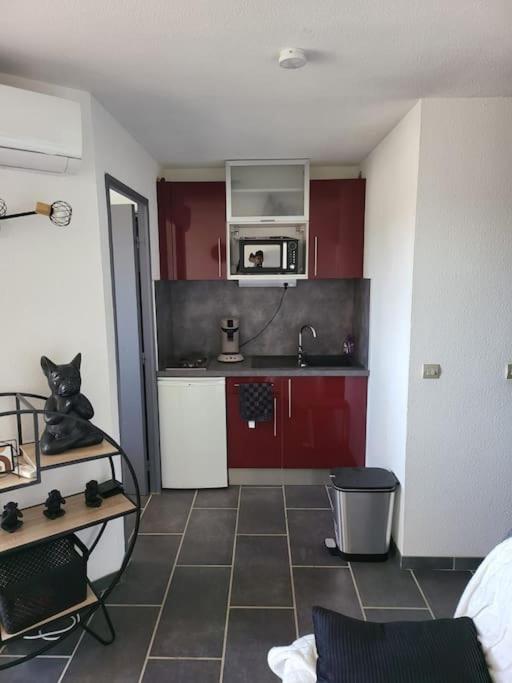 Location Les Pieds Dans L'Eau Appartement Canet-en-Roussillon Buitenkant foto